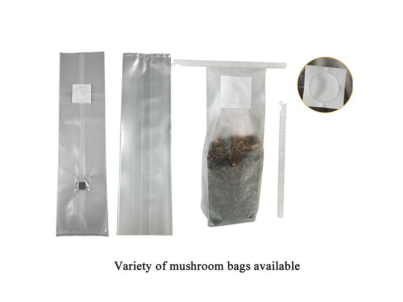 Mushroom Growing Bags