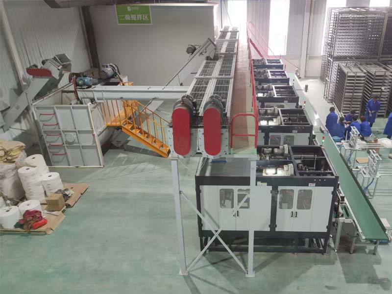 Best Conveyor Systems for Edible Fungus Cultivation