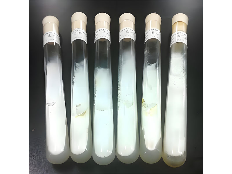 Liquid Edible Fungus Culture Process