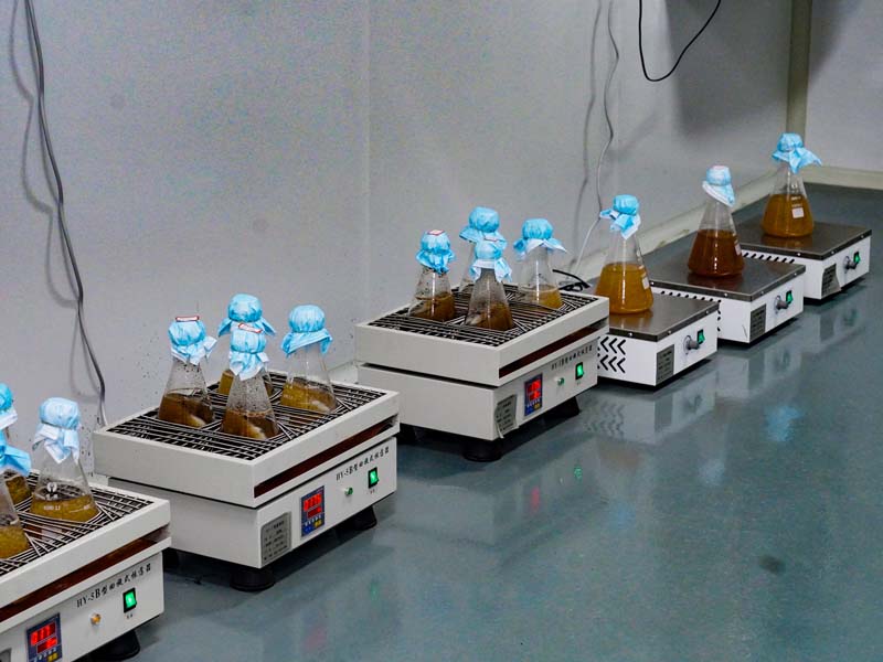 The Advantages of Liquid Spawn in Modern Mushroom Cultivation